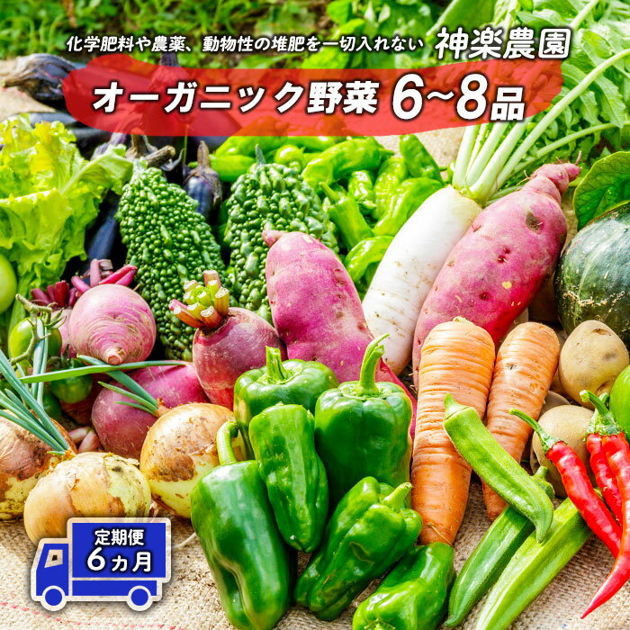 ڤդ뤵Ǽǡͽա2025ǯ7ȯͽ꡿  / 6 ۥ˥å 6~8  Τ줿  ...