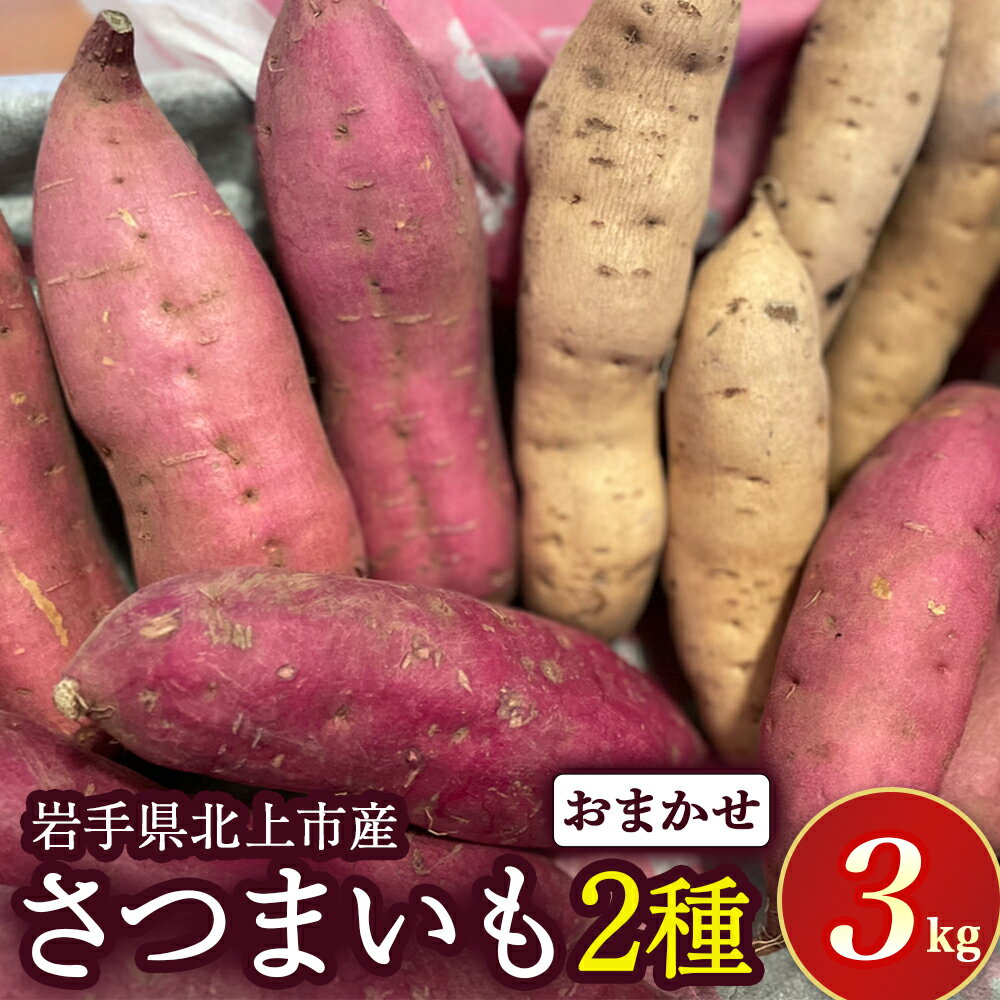 【ふるさと納税】【 予約受付 2025年産 】 さつまいも 2種 3kg シルクスイート パープルスイート ハロウィンスイート 紅あずま 紅はるか 安納芋 鳴門金時 等から 詰め合わせ 国産 サツマイモ セット 野菜 岩手県 北上市 齋藤 智仁 B0399 産地直送 ※R7年9月下旬より発送