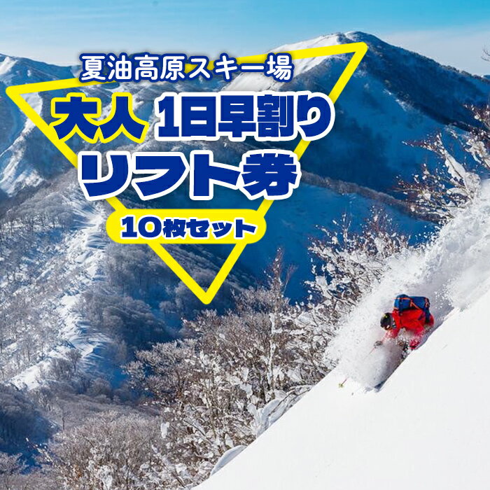 【ふるさと納税】 大人 早割り 1日 リフト券 10枚セット 夏油高原 スキー場 早割 前売り リフト 1日券 時間券 期間限定 (〜12/5までの申込) 冬 ...