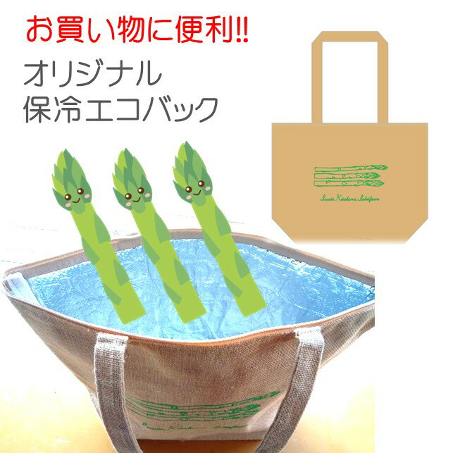 【ふるさと納税】 予約受付！5月初旬頃から順次発送！採りたて 春の アスパラガス 約1.2kg＆オリジナル 保冷 エコバック セット 新鮮 野菜 グリーン アスパラ 産地直送 岩手県 北上市産 不揃い サイズ アスパラ王子 石井建一 岩手県 北上市 D0433 春野菜