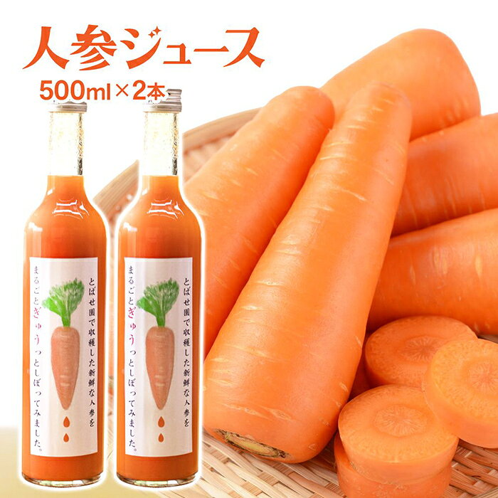 とばせ園 人参ジュース 500ml 2本入り にんじん フレッシュ 野菜ジュース 父の日 ギフト 贈答 プレゼント 贈り物 贈答品 福祉 福祉支援 応援 障がい者福祉 岩手県 北上市 ハートフルショップまごころC0431