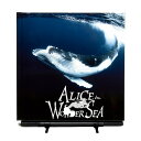 写真集・タレント人気ランク11位　口コミ数「0件」評価「0」「【ふるさと納税】ALICE in WONDER SEA フォトブック 写真家 高橋 怜子 海 水中 本 Reiko Takahashi photography 6/18 情熱大陸出演！水中写真家」