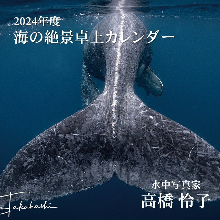 1位! 口コミ数「0件」評価「0」 2024年版 高橋怜子 海 絶景 卓上カレンダー 「2018 National Geographic Travel Photographe･･･ 