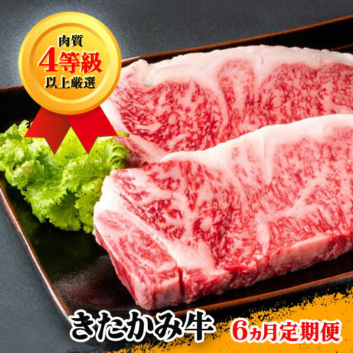 せいぶ農産 きたかみ牛 [定期便/6か月]4等級以上 黒毛 和牛 牛肉 肉 冷凍 西部開発農産