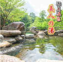 【ふるさと納税】北上の名所 瀬美温泉・桐の花宴会 宿泊 10名 様 温泉 露天風呂 宴会 飲み放題 お祝い 夏油 前沢牛 北上産 野菜 山菜 和食 紅葉 プレゼ...