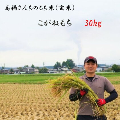 【 令和5年産 】高橋さんちの もち米（ 玄米 ）1等米検査済み 30kg お米 もち米 玄米 岩手 北上 1等米 こがねもち 高橋 光