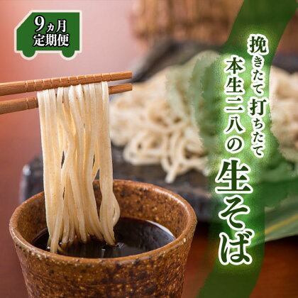 【 定期便 / 9か月 】蕎麦の実から栽培 挽きたて 本生二八の手打ちそば 4食分 9ヶ月連続 大晦日 年越し お正月 そば 蕎麦 お蕎麦 生そば 玄そば 手打ち 二八 宮田醤油店 夏油 自家栽培 岩手県 北上市 和賀町 神楽屋