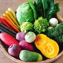 【ふるさと納税】農園自慢 彩り 野菜セット( 5品 以上〜)旬 野菜 詰め合わせ シェフ御用達 国産 岩手 うるおい春夏秋冬 国産 やさい セット 岩手県 北上市 A0235 季節の野菜 西洋野菜 紫人参 黄色人参 丸なす 水なす 長なす とうがらし カラフル 野菜 お試し 送料無料