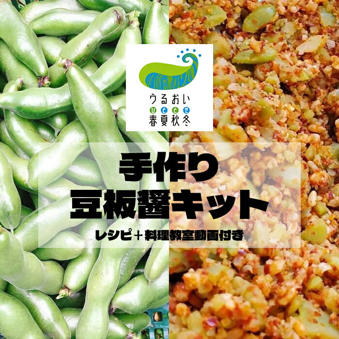 [予約受付 2024年6月中旬〜発送]手作り豆板醤キット(レシピ+料理教室動画付) うるおい春夏秋冬 新鮮 旬 野菜 冷蔵 オリジナル スパイス そら豆 発酵 調味料 手作りキット レシピ付き 自由研究