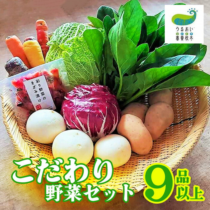 〈 事前予約受付 6月から発送開始 〉シェフ御用達！こだわり野菜セット（9品以上） 野菜 やさい 詰合せ 岩手県 北上市産 うるおい春夏秋冬 新鮮 旬 野菜 冷蔵