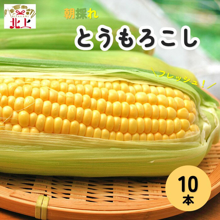 予約受付[2024年7月中旬頃〜発送開始]北上産のとうもろこし 10本 夏 旬 野菜 おやつ BBQ グリル 焼き とうもろこし もろこし 朝採 採れたて フレッシュ コーン 徳用 大容量 展勝地 桜の名所 展勝地レストハウス