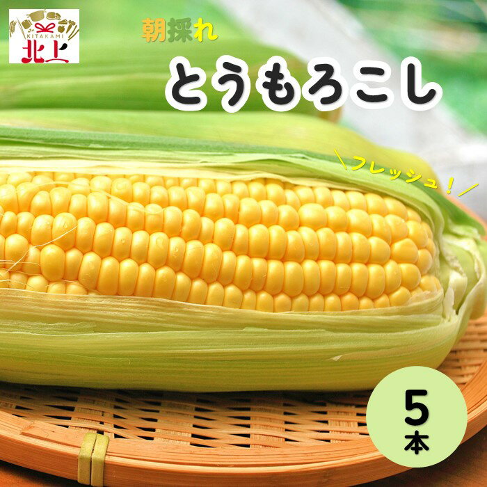 予約受付[2024年7月中旬頃〜発送開始]北上産のとうもろこし 5本 夏 旬 野菜 おやつ BBQ グリル 焼きとうもろこし 朝採 採れたて フレッシュ コーン 徳用 大容量 展勝地 桜の名所 展勝地レストハウス