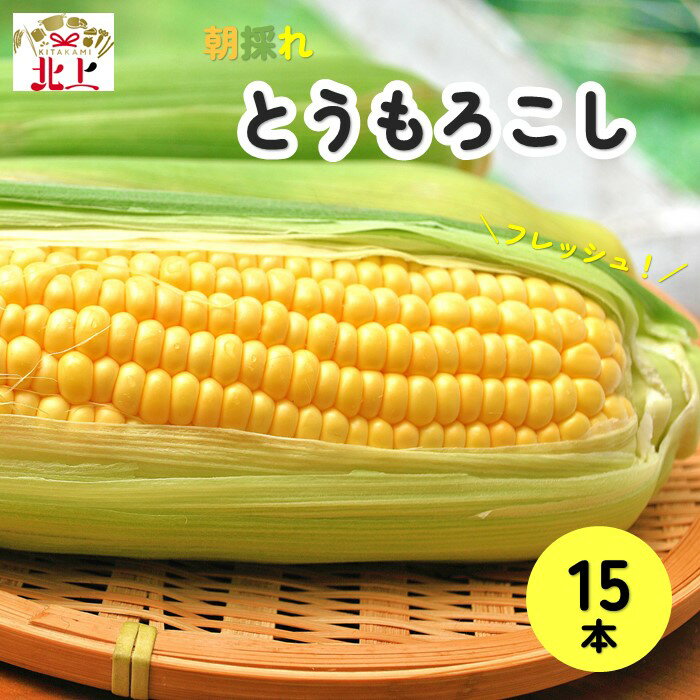 【ふるさと納税】予約受付【2024年7月中旬頃～発送開始】北上産のとうもろこし 15本 夏 旬 野菜 おやつ BBQ グリル 焼きとうもろこし 朝採 採れたて フレッシュ コーン 徳用 大容量 展勝地 桜の名所 展勝地レストハウス