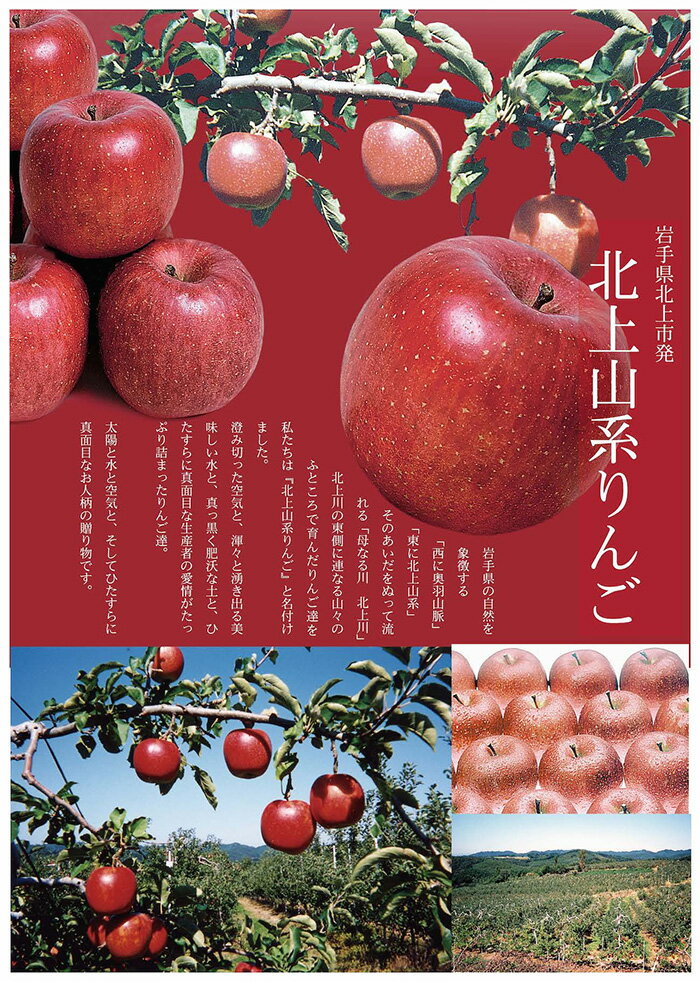 【ふるさと納税】北上山系 りんご 「 サンふじ 」【 予約受付 /2025年 11月発送開始 】玉数おまかせ 3kg ・ 5kg ・ 10kg から選べる【蜜入り 保証 】さんふじ 林檎 展勝地 桜の名所 展勝地レストハウス 岩手県 北上市 H0149