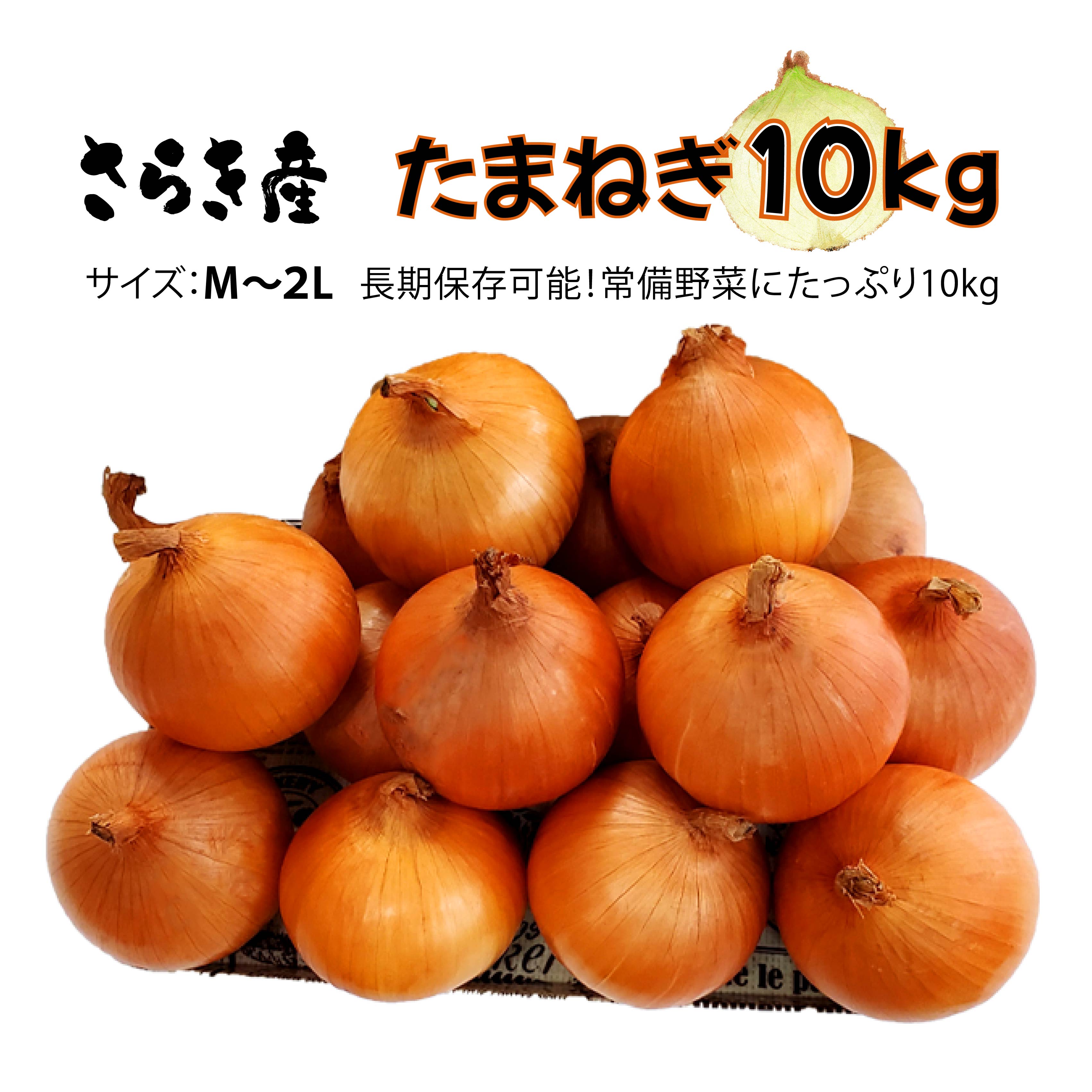 〈予約受付/7月発送開始予定〉さらき産 たまねぎ 10kg 新鮮 野菜 タマネギ 玉葱 10キロ 更木 玉ねぎ オニオン 農事組合法人 さらき