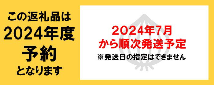 【ふるさと納税】〈予約受付/7月発送開始予定〉さらき産 たまねぎ 10kg 新鮮 野菜 タマネギ 玉葱 10キロ 更木 玉ねぎ オニオン 農事組合法人 さらき