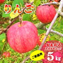 【ふるさと納税】 \予約受付 9月下旬より発送開始予定/旬を彩るおまかせパック 【 家庭用 】 5キロ (約13〜20玉) 林檎 リンゴ 5kg 国産 東北 岩...