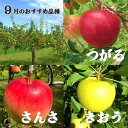 岩手県北上市の画像3
