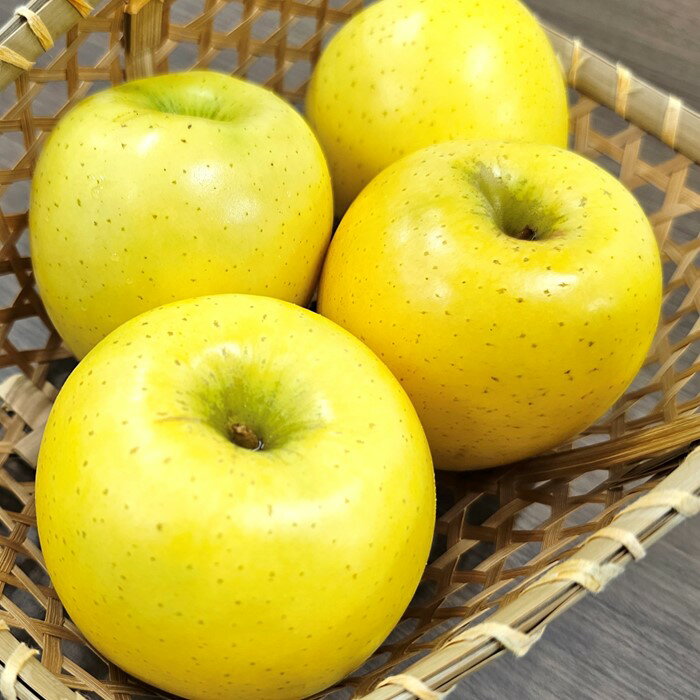 【ふるさと納税】＼予約受付 11月中旬ころから順次発送予定 ／【 北上市産 りんご 】シナノゴールド 【 家庭用 】 2.5kg〜5kg 国産 林檎 リンゴ 果物 フルーツ 果実 しなの ゴールド 産地直送 送料無料 旬 秋 冬 東北 岩手 金鈴園 岩手県 北上市 訳あり