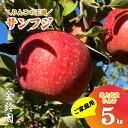 【ふるさと納税】\予約受付 11月下旬より発送開始予定/【 北上市産 りんご 】サンふじ 【 家庭用 】 5キロ (約13〜20玉) 林檎 リンゴ サンフジ 5...