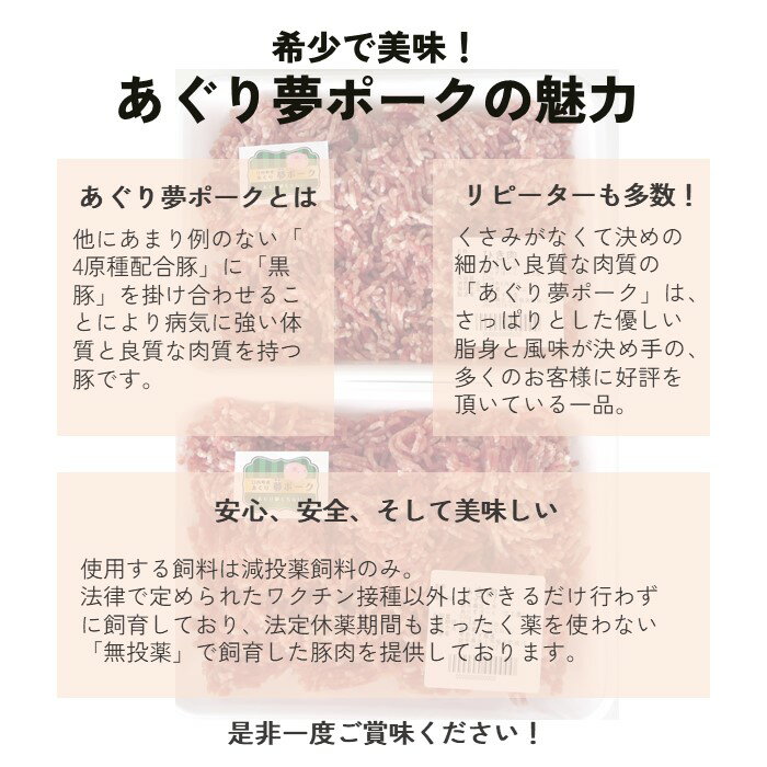 【ふるさと納税】あぐり夢ポーク ひき肉 1kg 豚肉 ミンチ 大容量 冷凍 グルメ 料理 ハンバーグ ミートボール メンチカツ コロッケ などに あぐり夢くちない