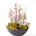 【ふるさと納税】展勝地 の桜なみき アートフラワー 光触媒 消臭 除菌 光触媒 空気清浄 フラワーアレンジメント インテリア 贈り物 プレゼント あとりえヒロ