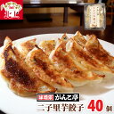 【ふるさと納税】味噌屋がんこ亭 手作り 二子里芋餃子 40個 ラーメン 店 が 作る オリジナル 里芋 ギョーザ ぎょうざ 年末年始 パーティ ご当地 ギフト お土産 プレゼント お歳暮 おつまみ 惣菜 おかず 冷凍 【10/28 NHK 定禅寺しゃべり亭 出演】