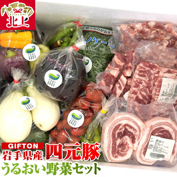 [ 予約受付 6月から発送 ] 岩手県 北上市産 四元豚 [GIFTON] 厳選カット肉と季節のうるおい野菜 セット 新鮮 旬 うるおい春夏秋冬 野菜 産地直送 冷蔵 希少 豚 肉 ポーク 豚バラ ロース トンテキ しゃぶしゃぶ 薄切り ミンチ ひき肉 ごえん株式会社