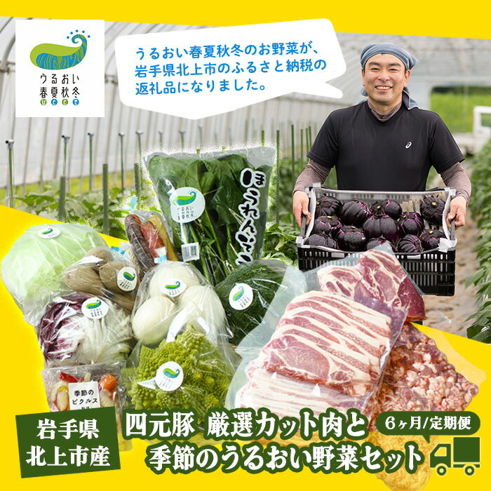 【ふるさと納税】岩手・北上産四元豚 厳選カット肉と季節のうるおい野菜セット【6ヶ月定期便】 新鮮 旬 野菜 冷蔵 豚肉 ポーク 豚バラ ロース トンテキ しゃぶしゃぶ 薄切り 角切り ミンチ ひき肉 ごえん株式会社