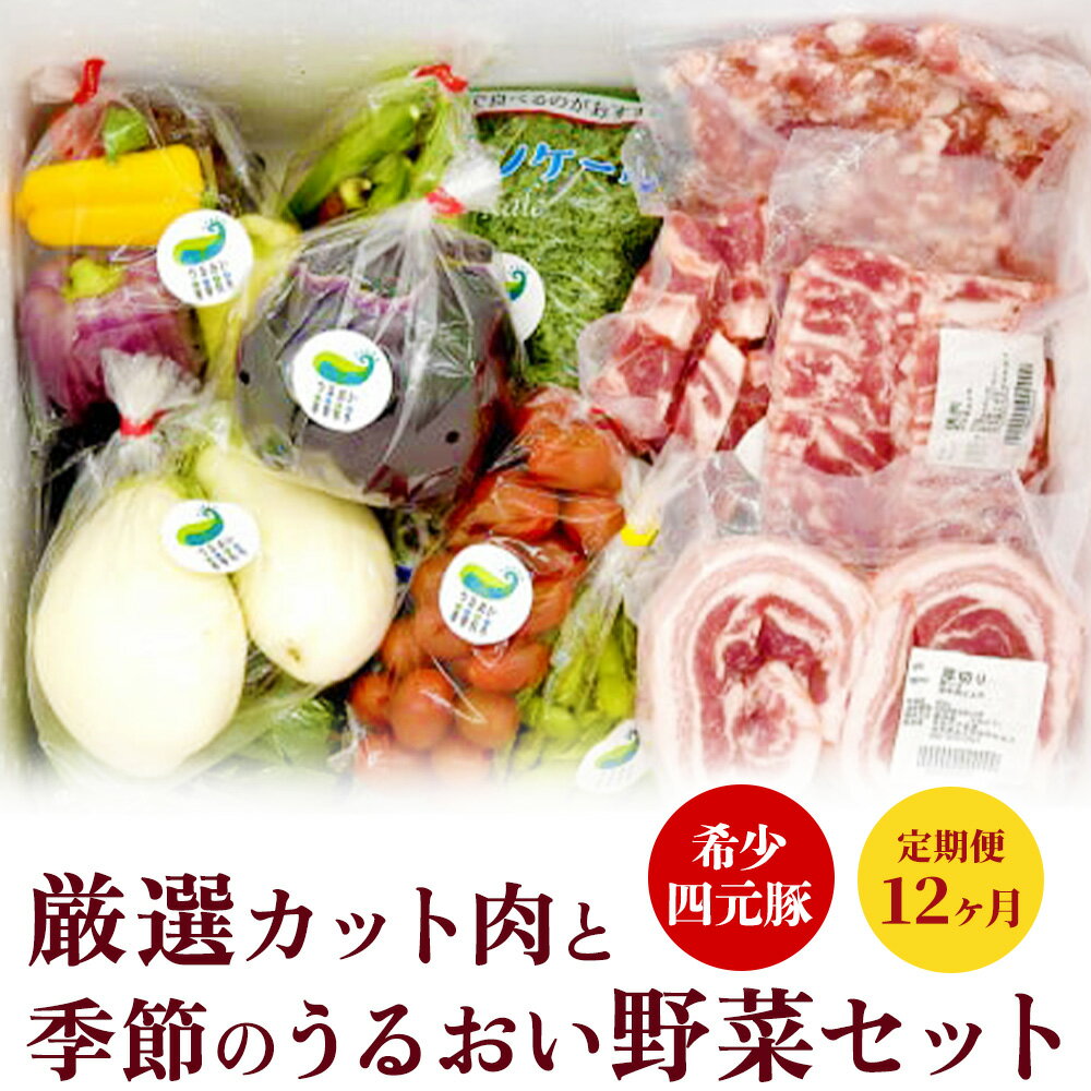 定期便 12ヶ月 岩手 四元豚 厳選 カット肉 と 季節のうるおい野菜 セット GIFTON 新鮮 旬 野菜 冷蔵 希少 豚肉 ポーク 豚バラ ロース トンテキ しゃぶしゃぶ 薄切り 角切り ミンチ ひき肉 ごえん株式会社 うるおい春夏秋冬 ※レビューキャンペーン対象品※