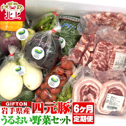 岩手・北上産四元豚 厳選カット肉と季節のうるおい野菜セット【6ヶ月定期便】 新鮮 旬 野菜 冷蔵 豚肉 ポーク 豚バラ ロース トンテキ しゃぶしゃぶ 薄切り 角切り ミンチ ひき肉 ごえん株式会社