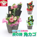 【ふるさと納税】炭の詩 「角カゴ」 空気清浄 脱臭 消臭 インテリア オブジェ マイナスイオン リラックス 手作り 母の日 プレゼント 贈り物 ぐりーん☆ぐれーす(3)
