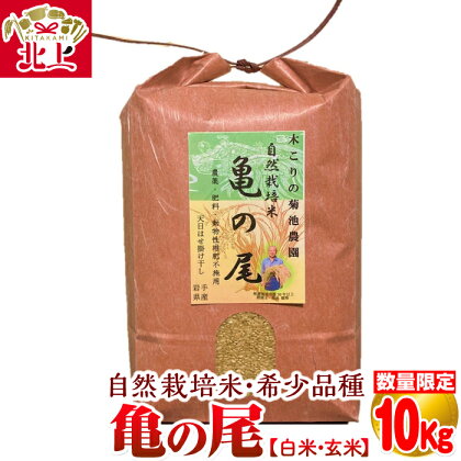 令和5年 度 数量限定 木こりの菊池農園　自然栽培米【亀の尾】(白米・玄米) 10kg お米 ごはん 白米 玄米 自然栽培 人気のお米 北上 自然 栽培 米