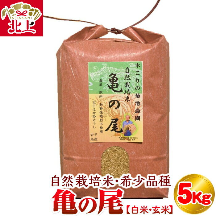 令和5年 度 数量限定 木こりの菊池農園 自然栽培米[亀の尾](白米・玄米) 5kg お米 ごはん 自然 栽培 米