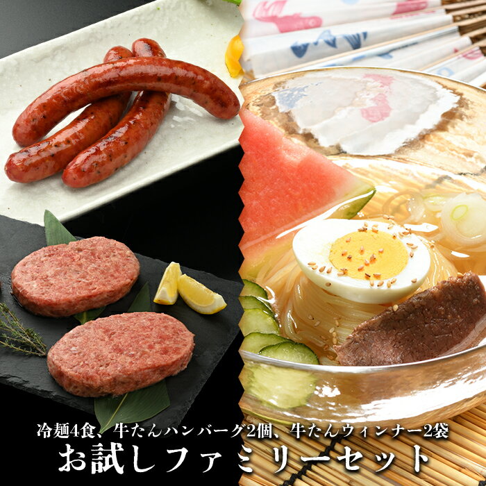 お試しファミリーセット【やまなか家】牛肉 冷凍 BBQ アウトドア 誕生日 パーティー お祝い 牛タン ハンバーグ ウィンナー 豚肉 母の日 父の日 お中元 お土産 贈り物 ご贈答 KYフーズ （K6-045）