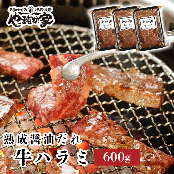 旨みたっぷり牛ハラミ[熟成醤油だれ]600g 焼肉 やまなか家 牛肉 冷凍 BBQ アウトドア パーティー お祝い ガッツリ 母の日 父の日 お中元 お土産 贈り物 ご贈答 KYフーズ (K2-028)