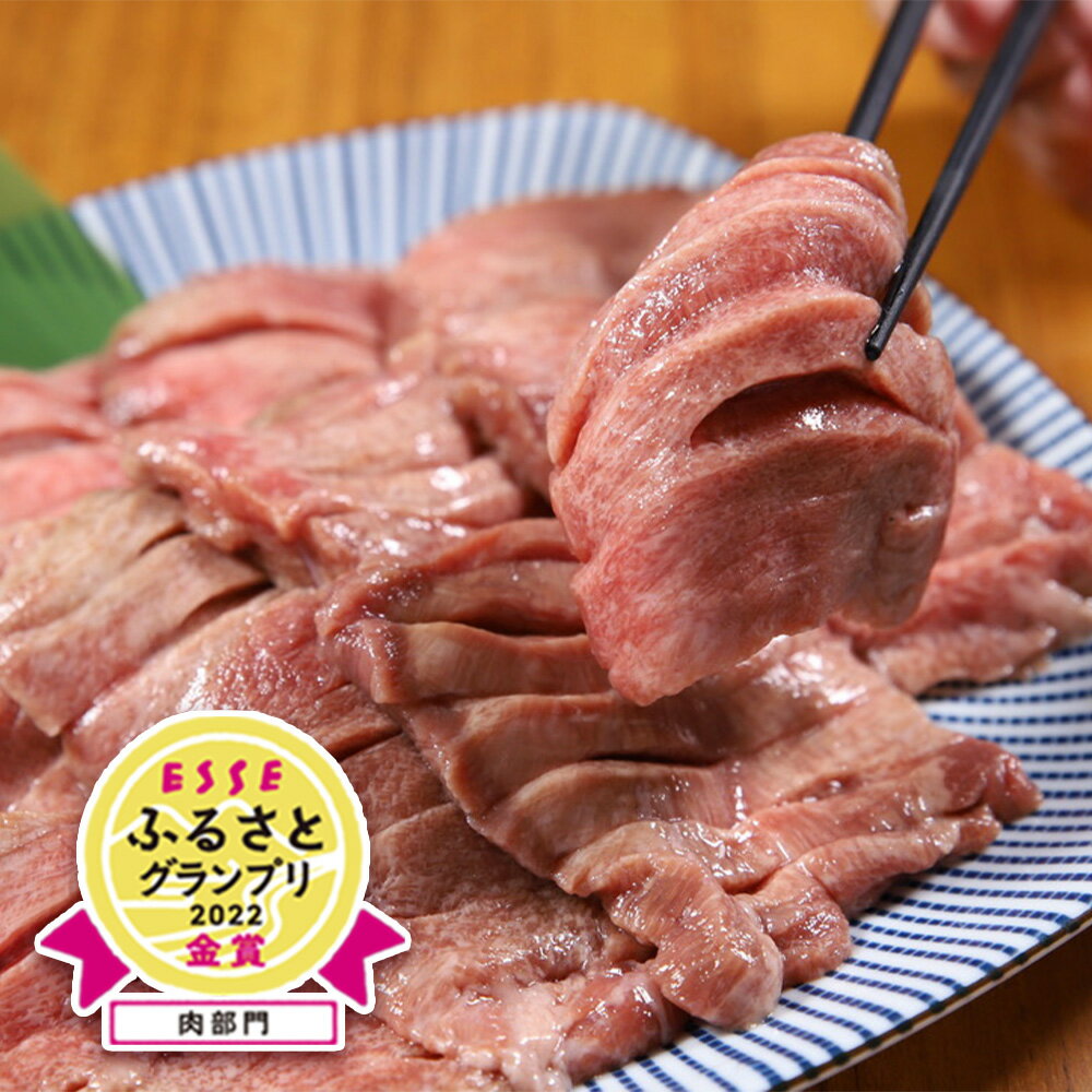 【ふるさと納税】やまなか家 肉厚牛たん（ タン 元）500g 牛タン 冷凍 BBQ 焼肉 低温管理（K6-022） KYフーズ