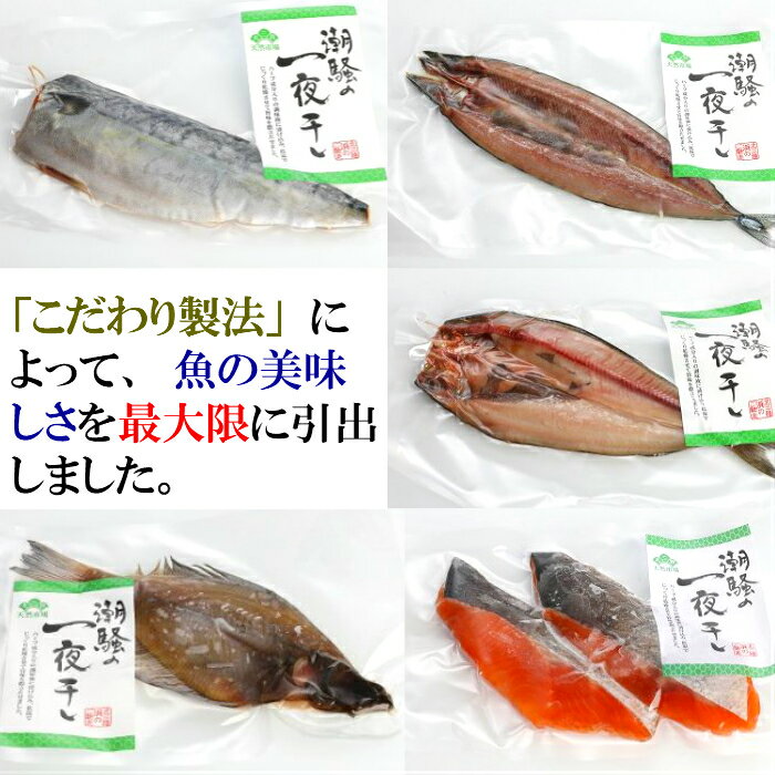 【ふるさと納税】【健康干物】潮騒の一夜干しセット