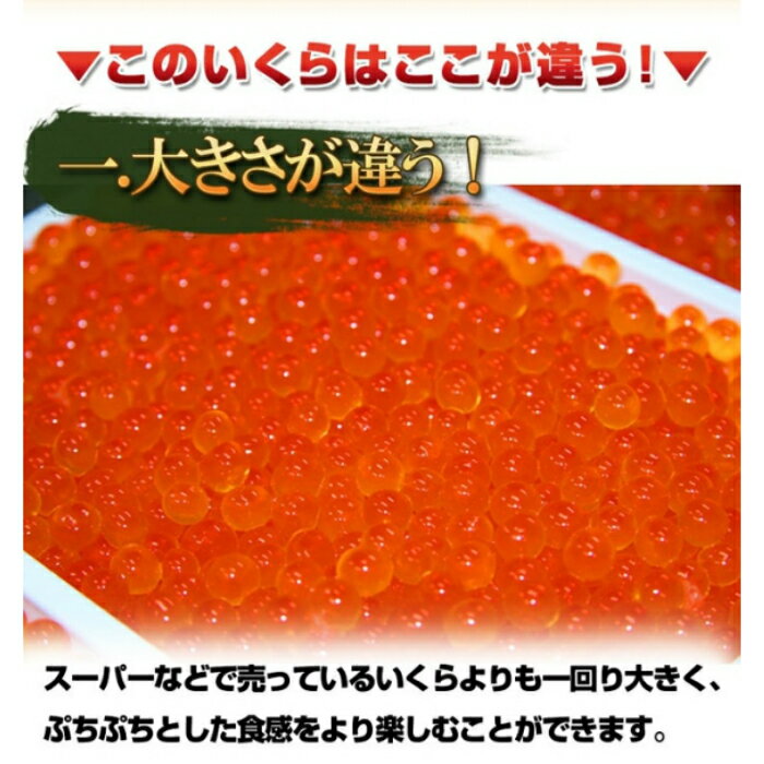 【ふるさと納税】本場三陸の「甘塩いくら」いくらと塩のみで仕上げた極上3特いくら500g