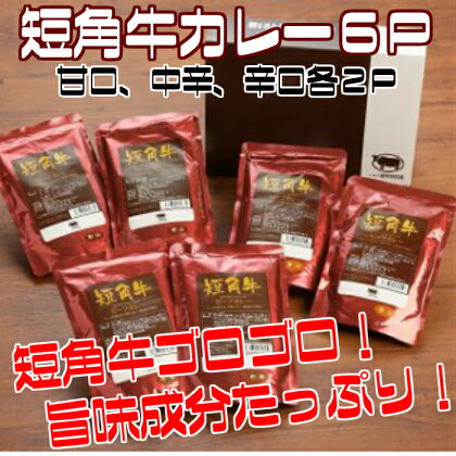 短角牛カレー6点セット