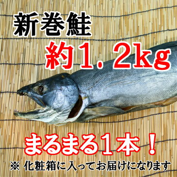 【ふるさと納税】D-040 【1本まるまる】新巻鮭(約1.2キロ)