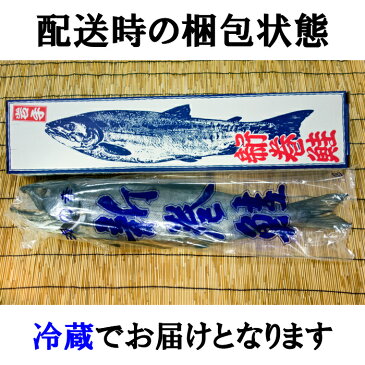 【ふるさと納税】D-040 【1本まるまる】新巻鮭(約1.2キロ)