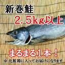 【ふるさと納税】H-016 【1本まるまる】新巻鮭(2.5キ...