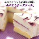11位! 口コミ数「18件」評価「4.72」岩手・山ふどうの里から「山ぶどうチーズケーキ」
