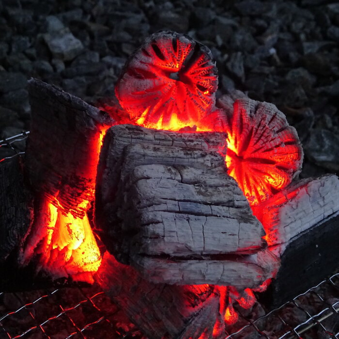 【ふるさと納税】【火つき・火力・火持ちよしの国産高級木炭】岩手切炭 GI 6kg なら堅一級