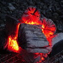 【ふるさと納税】【火つき・火力・火持ちよしの国産高級木炭】岩手切炭（GI）6kg×2個　なら堅一級