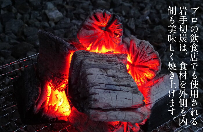 【ふるさと納税】【BBQ焼き鳥セット】岩手県産鶏もも串（生冷凍）50本＆岩手切炭（GI）6kg