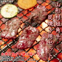 山形村短角牛炭焼き用セット