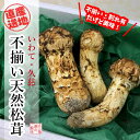 【ふるさと納税】《旬をお届け》久慈産天然松茸（不揃い 150g前後）