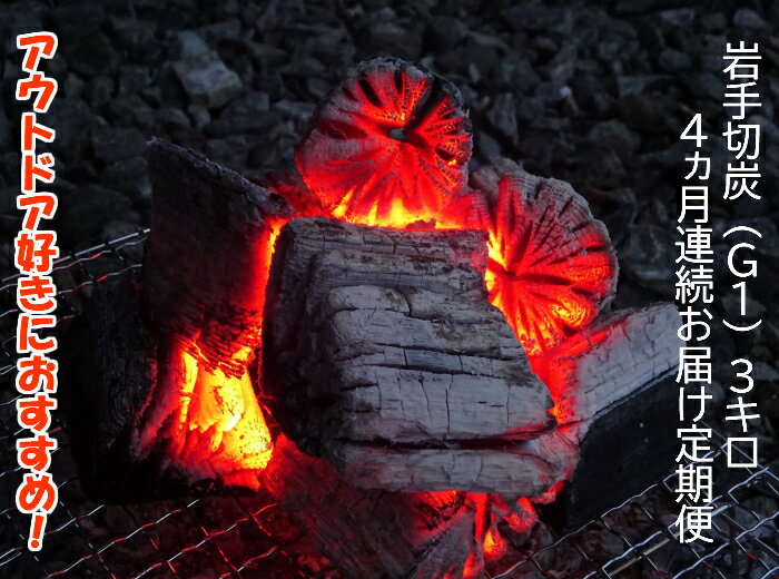 【定期便】アウトドア・BBQ大好き！4ヵ月連続でこだわり木炭をお届け定期便